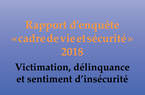 Rapport d’enquête CVS 2018 - Les violences physiques ou sexuelles (hors situation de vol)