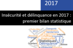 Insécurité et délinquance en 2017 - premier bilan statistique - Les vols de véhicules (automobiles ou deux-roues motorisés)